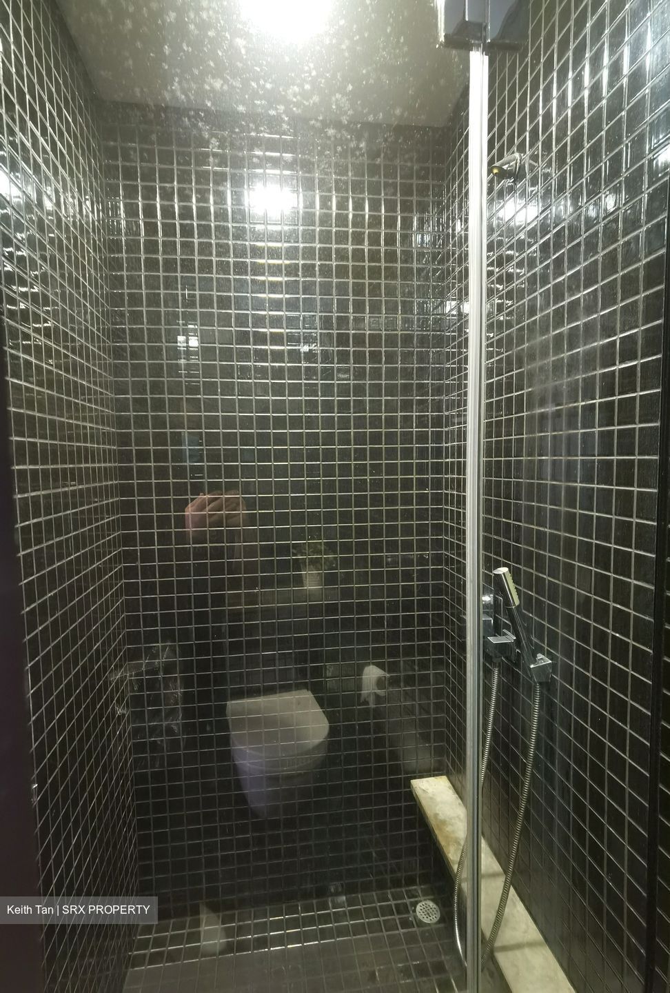 Skysuites@Anson (D2), Apartment #335805521